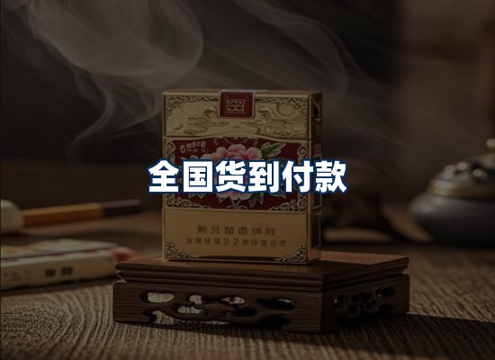 专业团队办公环境